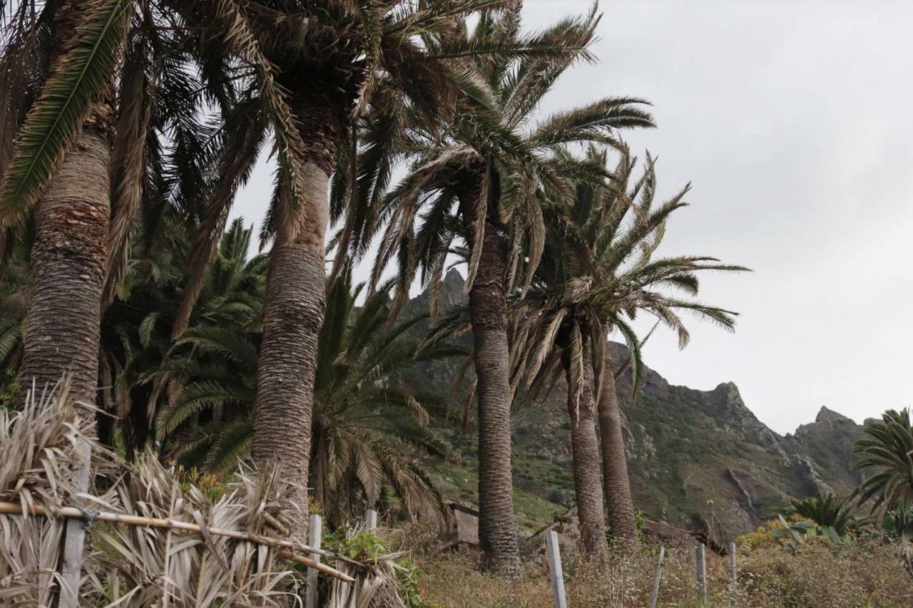 Oasis Atlantico: Rincon Secreto Al Pie De Los Senderos Асано Экстерьер фото